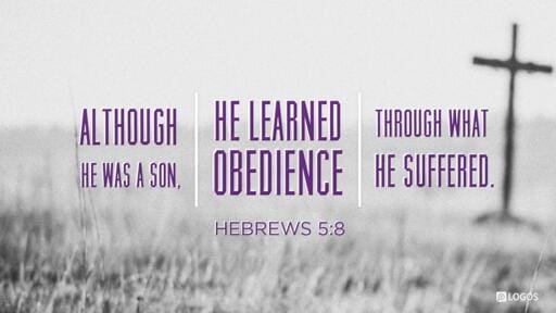 Hebrews 5:1-10